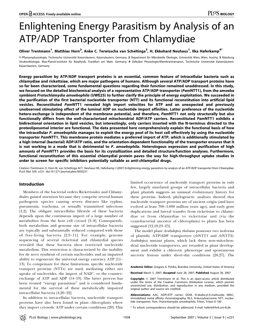 Pdf Enlightening Energy Parasitism By Analysis Of An Atp Adp Transporter From Chlamydiae