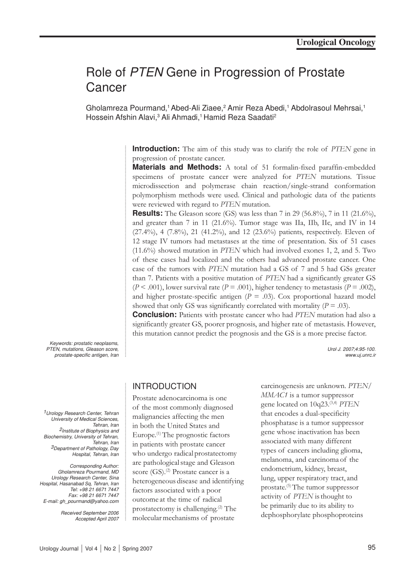 Pdf Role Of Pten Gene In Progression Of Prostate Cancer - 