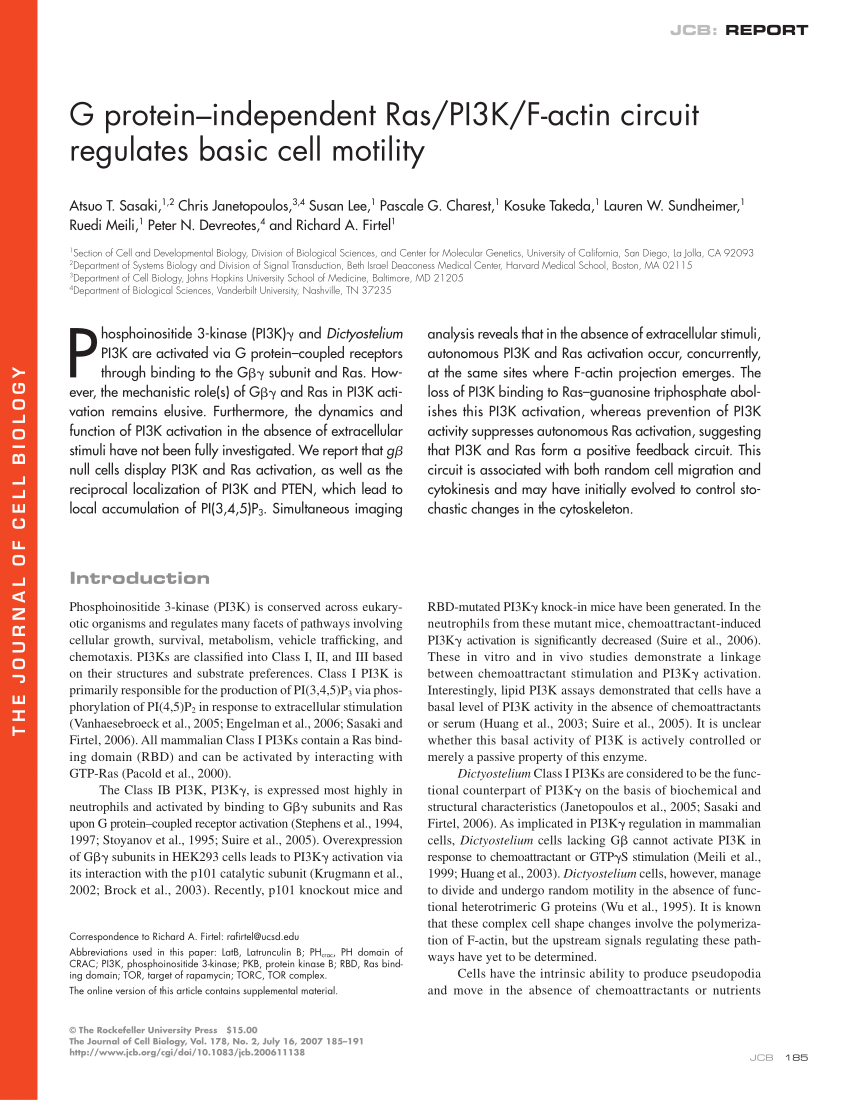 Pdf G Protein Independent Ras Pi3k F Actin Circuit Regulates Basic Cell Motility