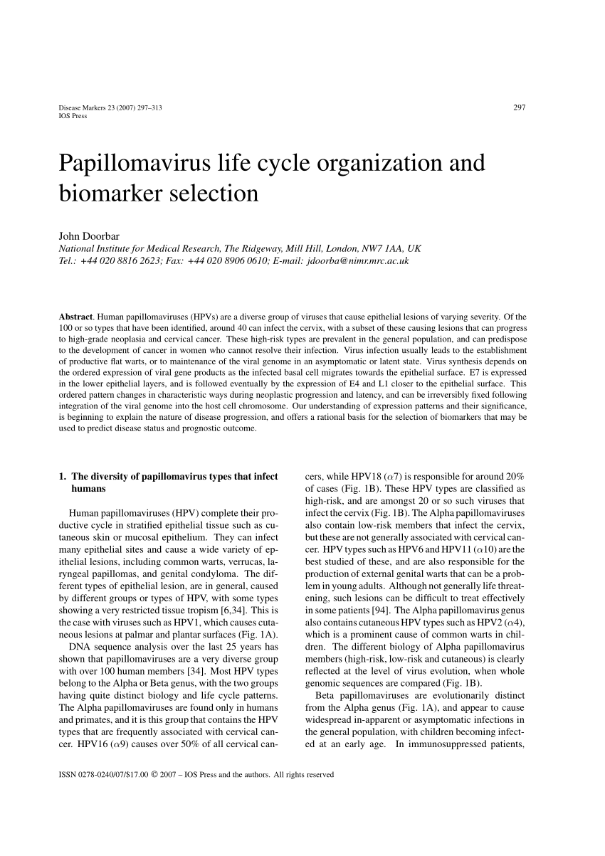 papillomavirus life cycle organization and biomarker selection)