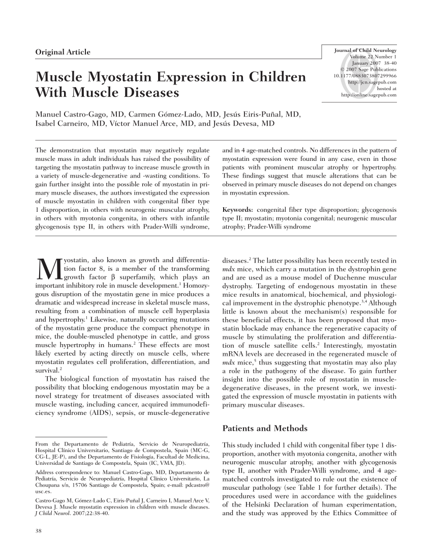 myostatin child