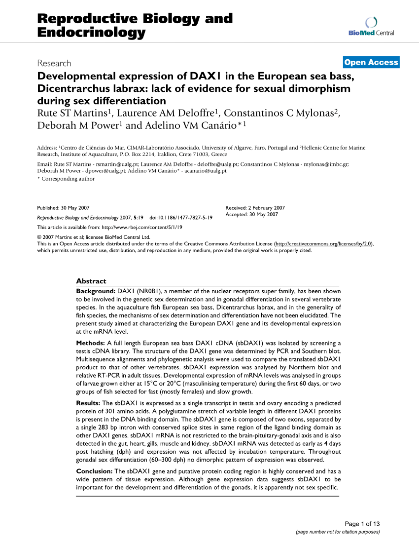 PDF Developmental expression of DAX1 in the European sea bass  