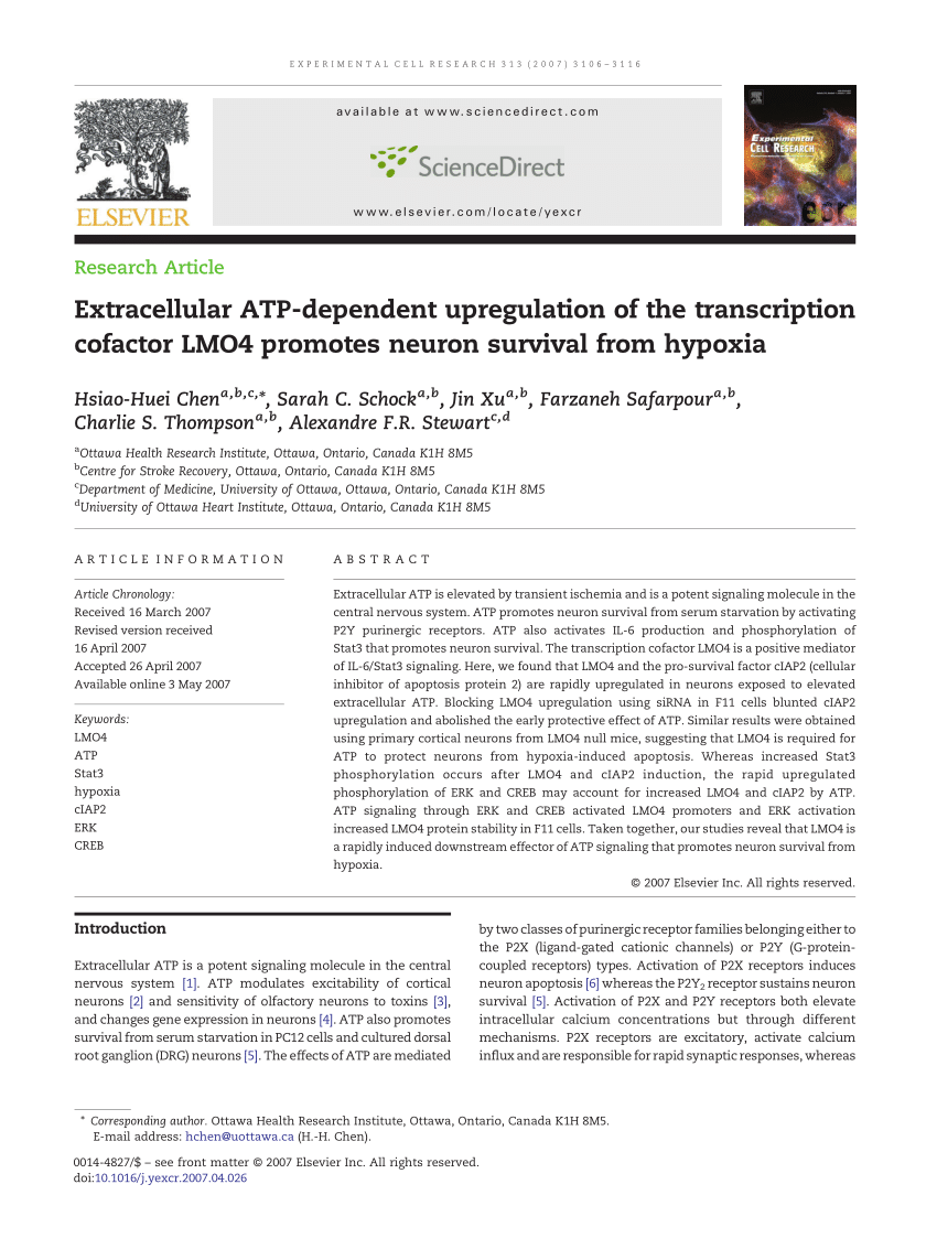 Lactate Attenuates Synaptic Transmission and Affects Brain Rhythms  Featuring High Energy Expenditure - ScienceDirect