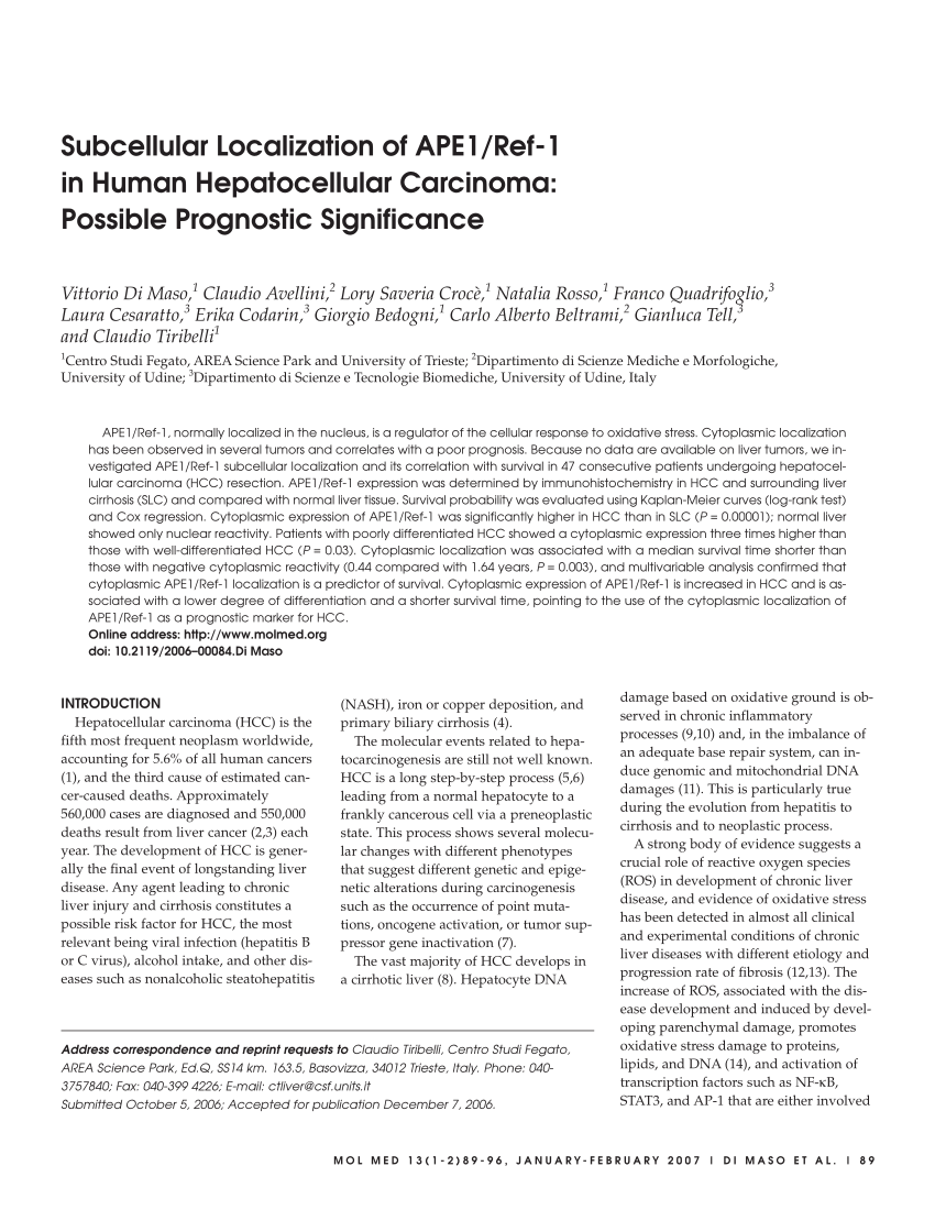 Pdf Subcellular Localization Of Ape1ref 1 In Human