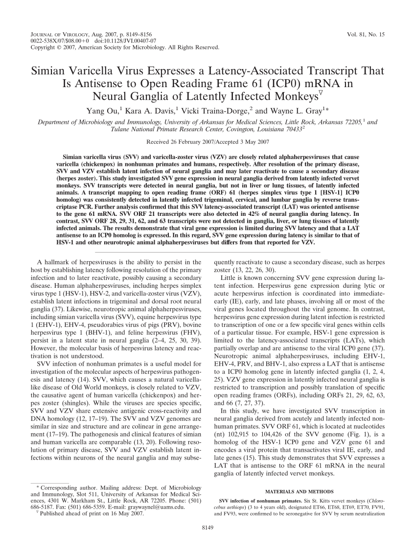 (PDF) Simian Varicella Virus Expresses a Latency-Associated Transcript