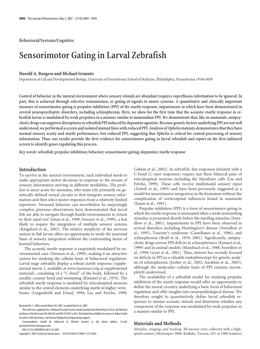 PDF) Sensorimotor Gating in Larval Zebrafish