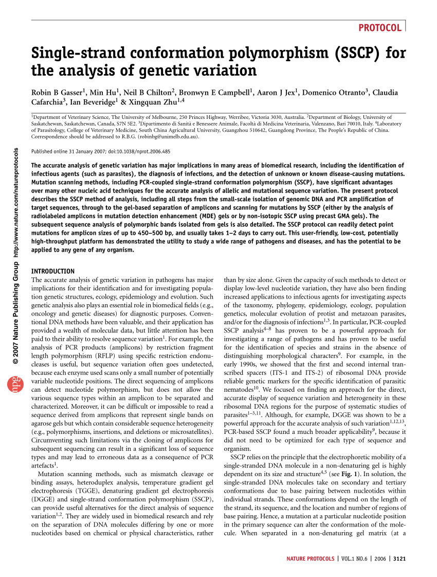 Exam SSCP Guide