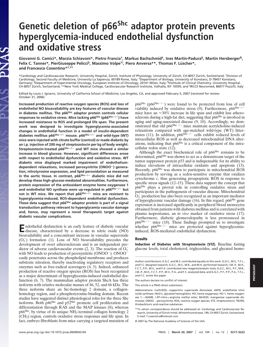 stress induced hedonic dysfunction