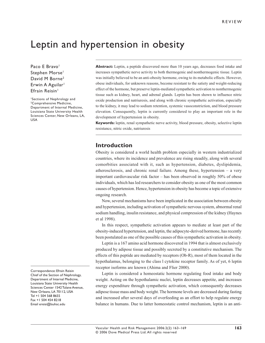literature review on obesity and hypertension