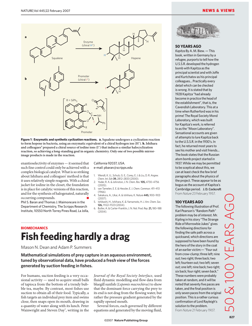 Pdf Biomechanics Fish Feeding Hardly A Drag