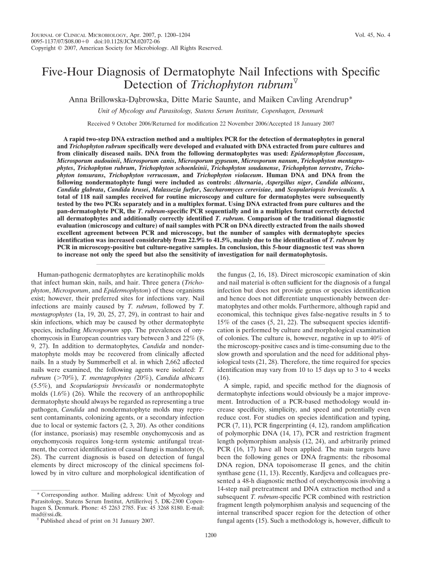 PDF) Endonyx onychomycosis caused by Trichophyton tonsurans
