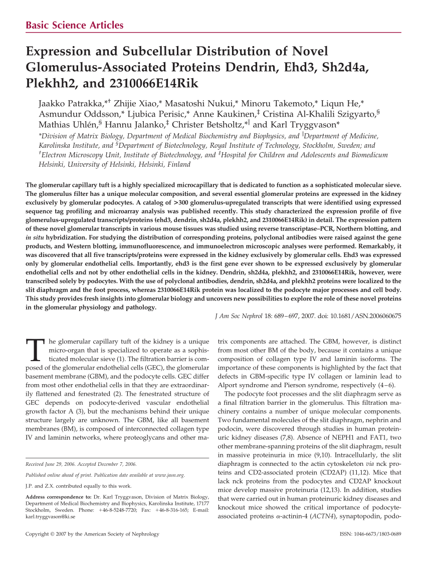 PDF) Expression and Subcellular Distribution of Novel Glomerulus 