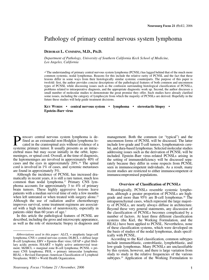 PRIMARY CENTRAL NERVOUS SYSTEM LYMPHOMAS AND RELATED DISEASES