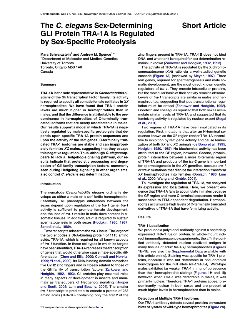 Pdf Schvarzstein M And Spence A M The C Elegans Sex Determining Gli Protein Tra 1a Is 1404
