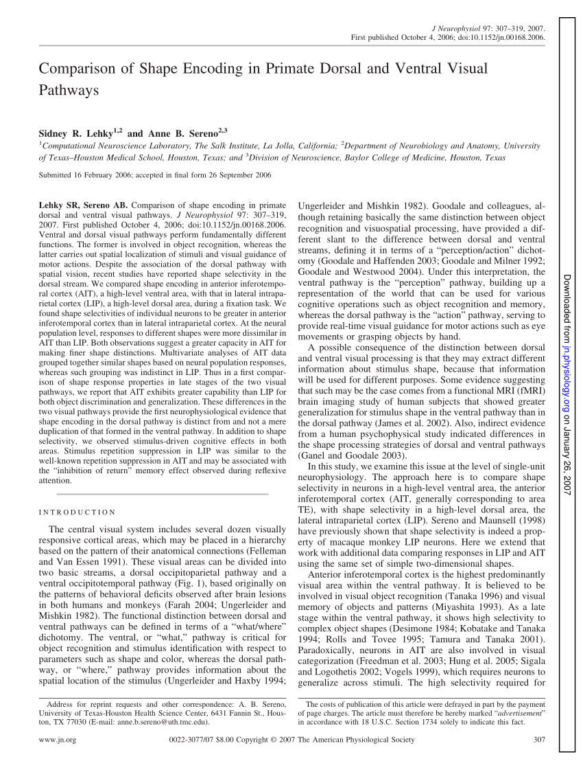 Pdf Comparison Of Shape Encoding In Primate Dorsal And Ventral Visual Pathways