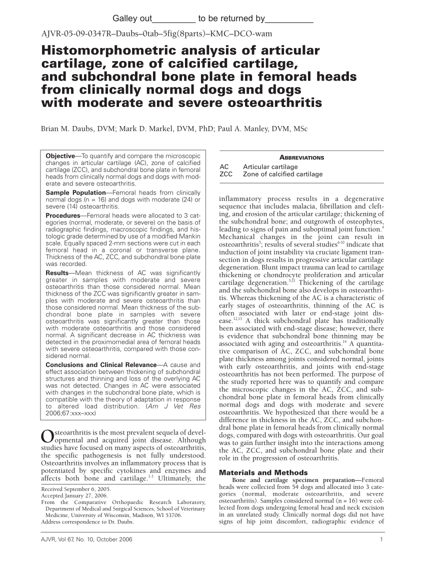 (PDF) Histomorphometric analysis of articular cartilage, zone of