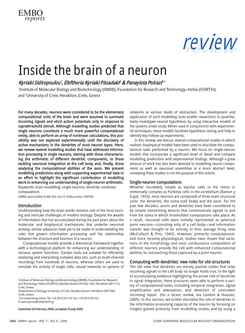 The Neuron – Foundations of Neuroscience