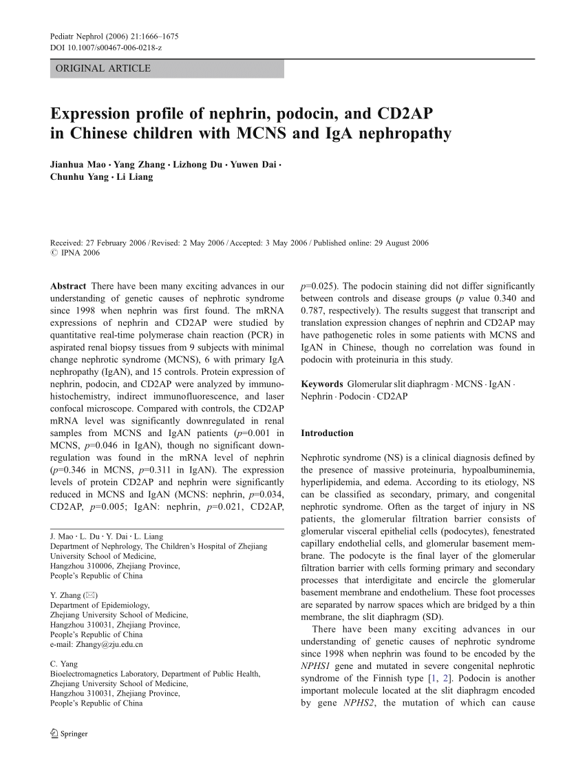 Pdf Expression Profile Of Nephrin Podocin And Cd2ap In - 
