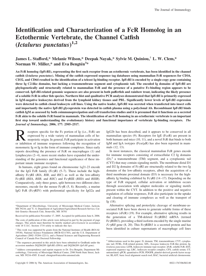 (PDF) Identification and Characterization of a FcR Homolog in an