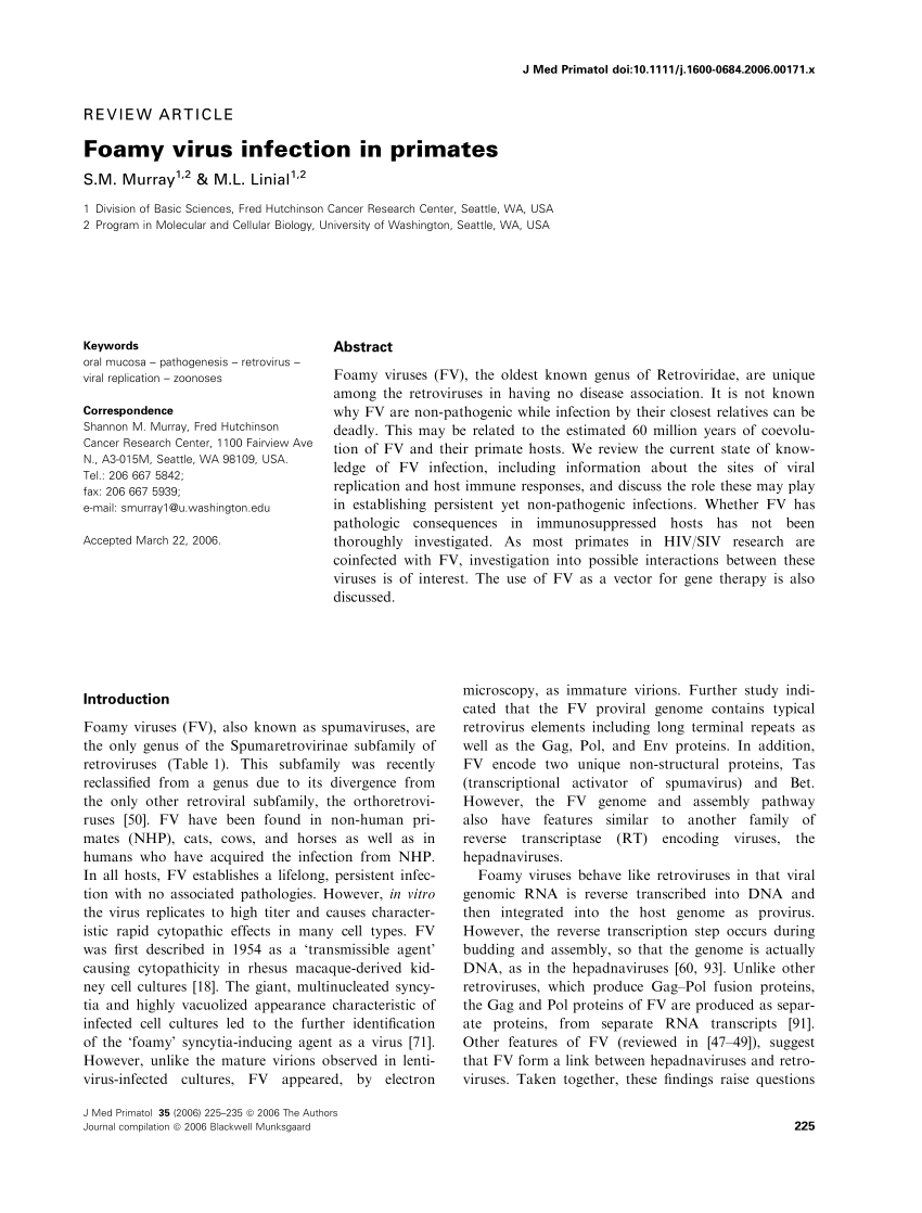 Pdf Foamy Virus Infection In Primates