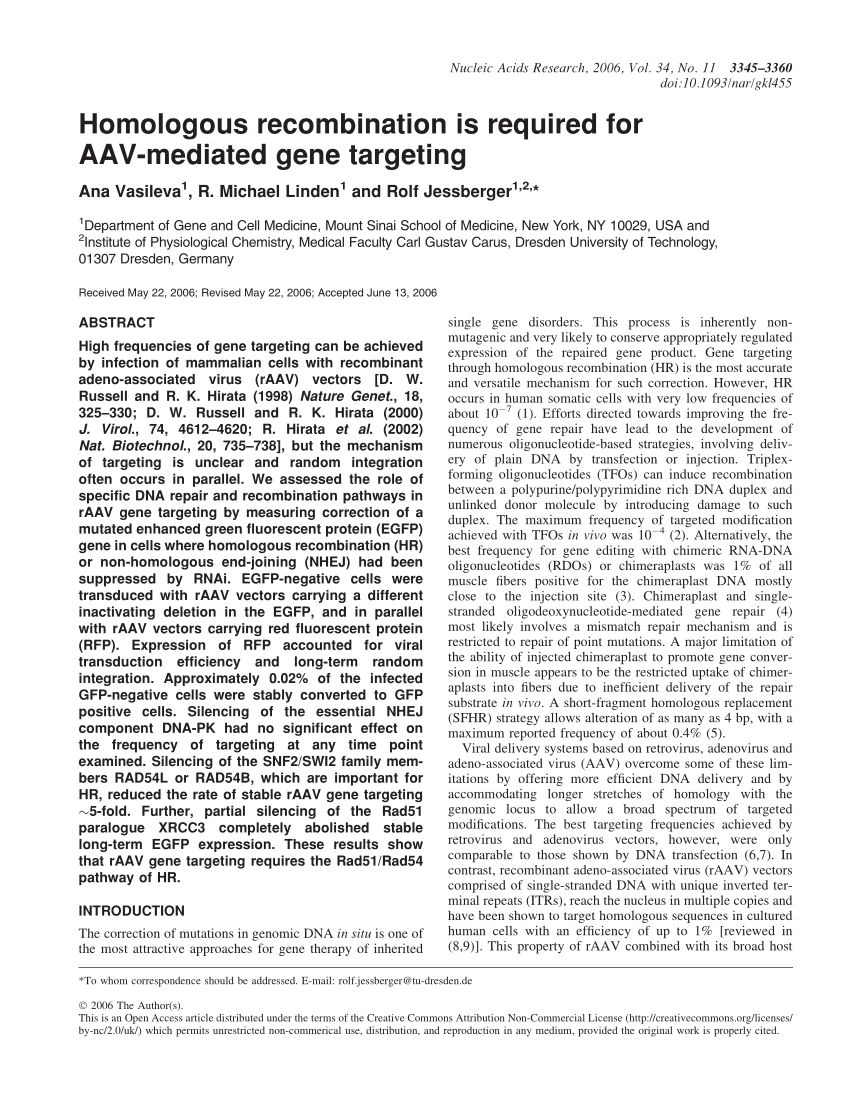 Pdf Homologous Recombination Is Required For v Mediated Gene Targeting