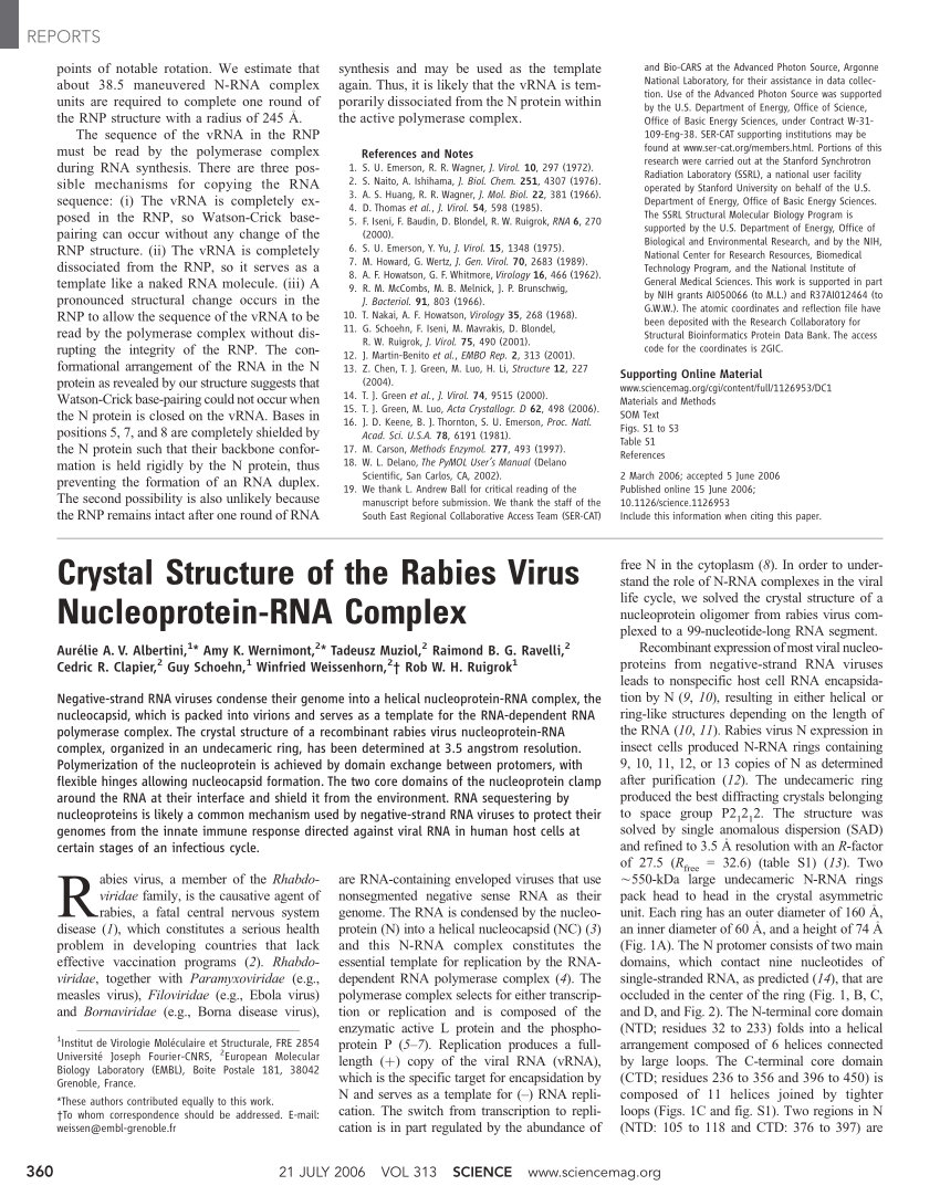 Pdf Crystal Structure Of The Rabies Virus Nucleoprotein Rna Complex