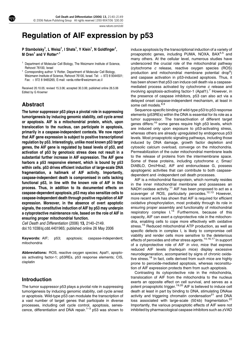 AIF Latest Mock Test