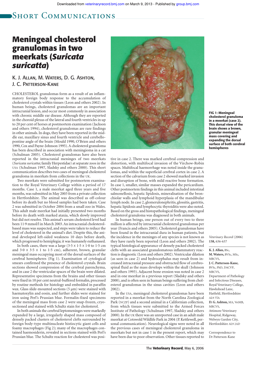 Pdf Meningeal Cholesterol Granulomas In Two Meerkats Suricata