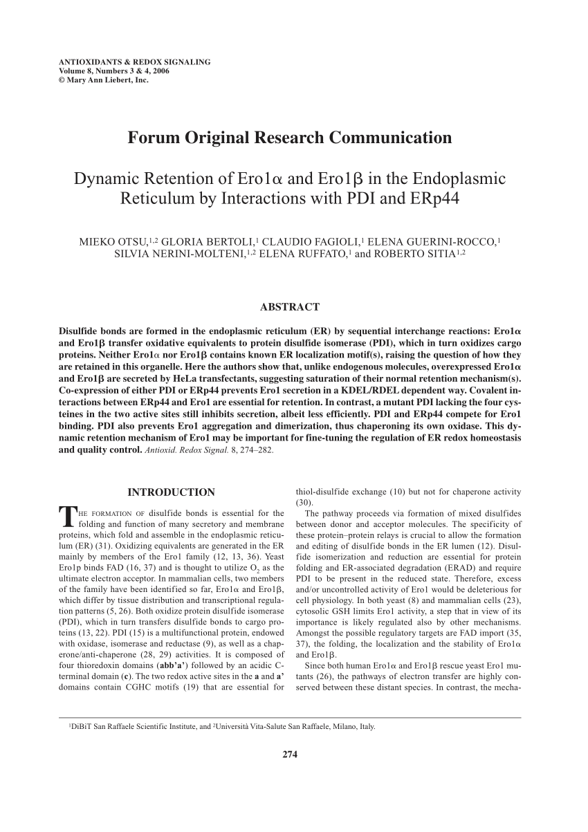 PDI Exam Sample