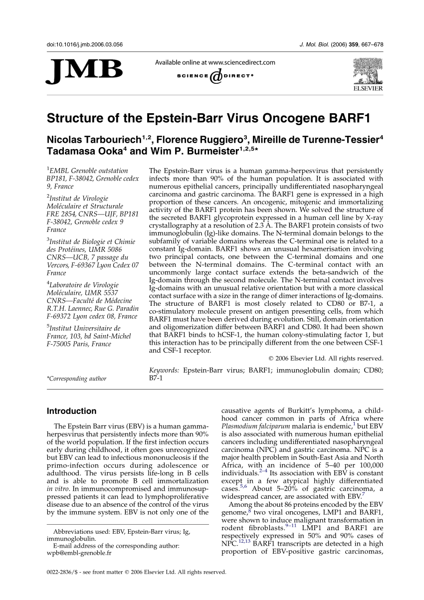 PD-L1 upregulation by lytic induction of Epstein-Barr Virus - ScienceDirect