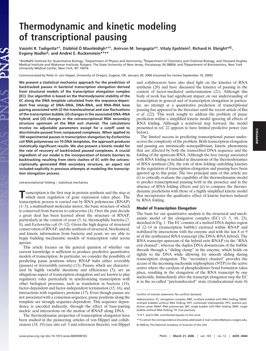 Pdf Thermodynamic And Kinetic Modeling Of Transcriptional Pausing