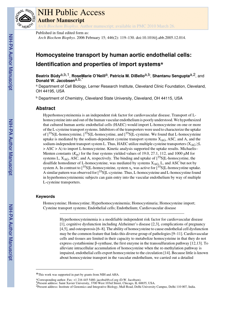Pdf Homocysteine Transport By Human Aortic Endothelial Cells Identification And Properties Of Import Systems