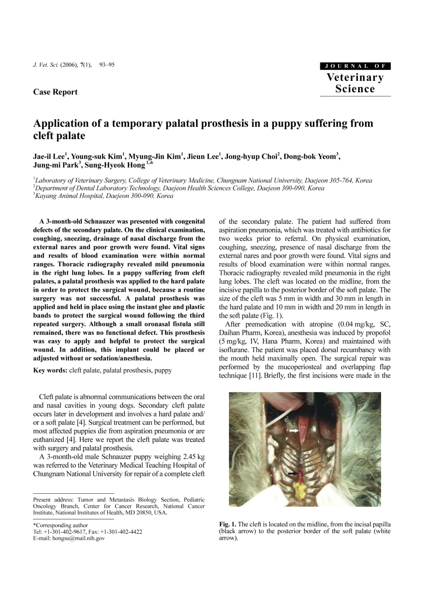 PDF) Application of a temporary palatal prosthesis in a puppy 