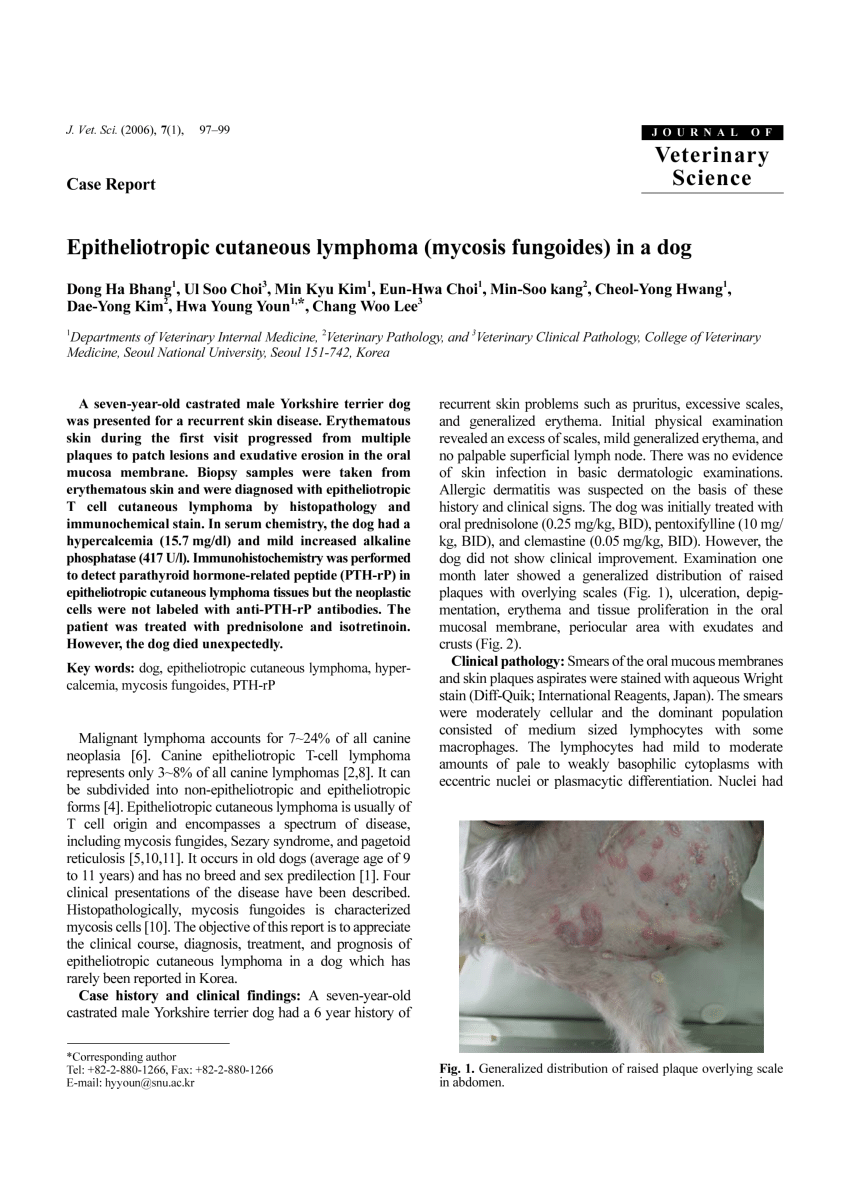 lymphomatoid papillomatosis patológia