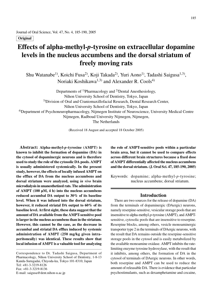 Effects of local perfusion of alpha-methyl-p-tyrosine (AMPT; 100 µM) on