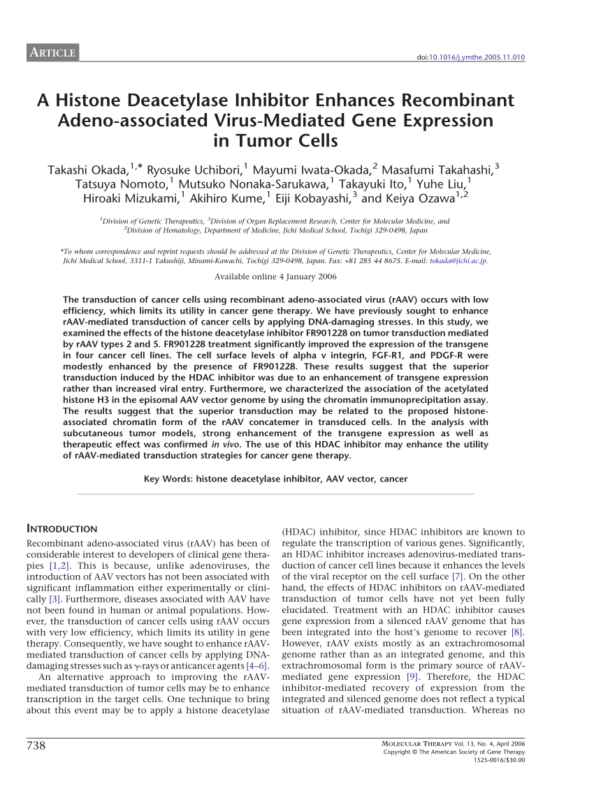 (PDF) In vitro replication of adeno-associated virus DNA 