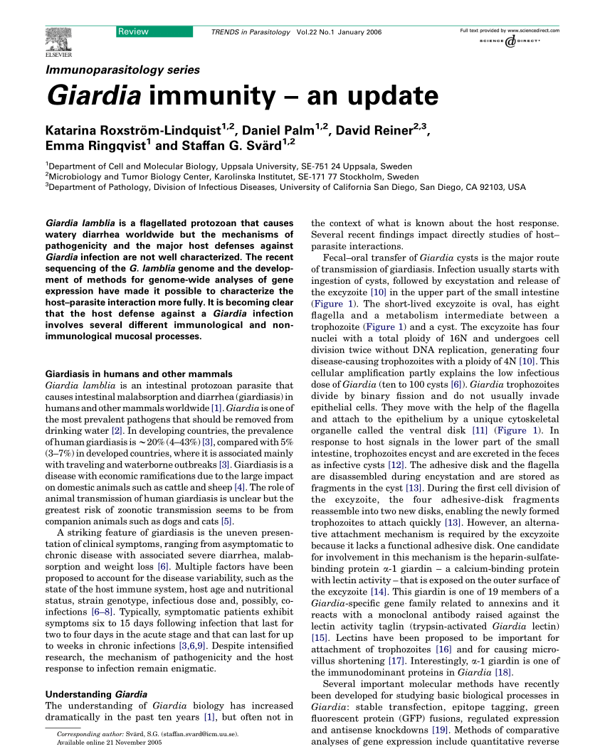 Co je giardia - Giardiasis