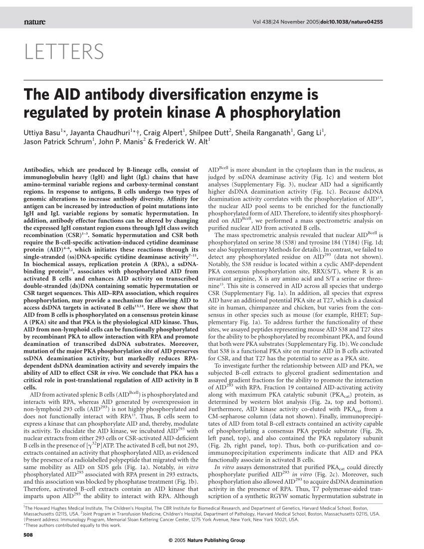 PDF) The AID antibody diversification enzyme is regulated by ...