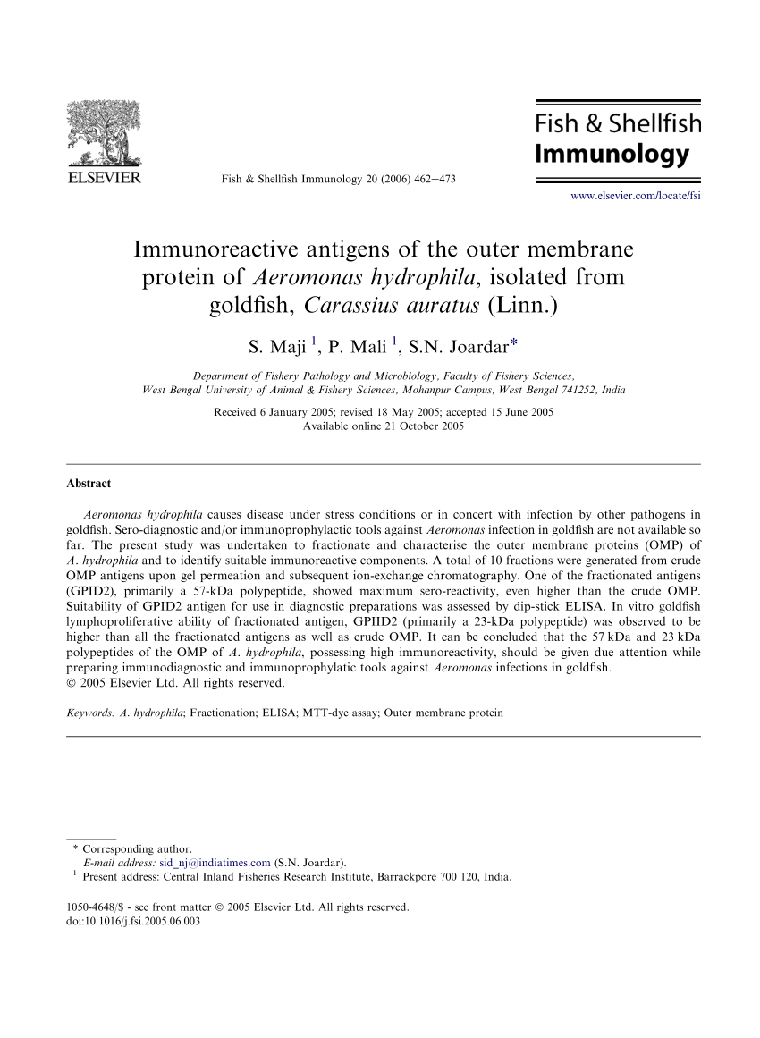 PDF) Immunoreactive antigens of the outer membrane protein of Aeromonas  hydrophila, isolated from goldfish, Carassius auratus (Linn.)