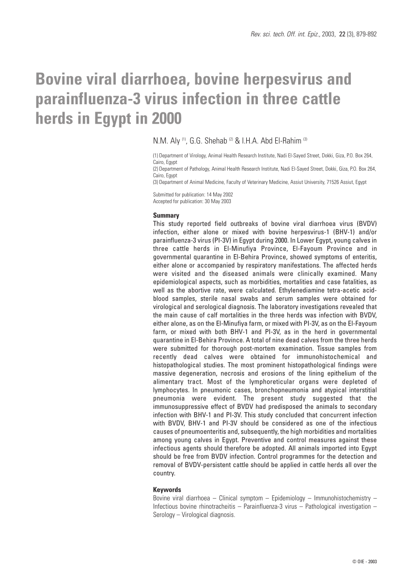 Pdf Bovine Viral Diarrhoea Bovine Herpesvirus And Parainfluenza 3 Virus Infection In Three Cattle Herds In Egypt In 2000