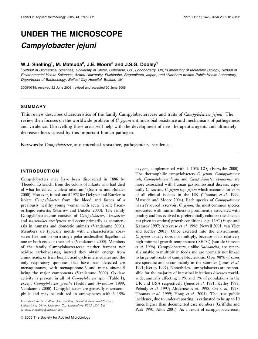 Pdf Campylobacter Jejuni