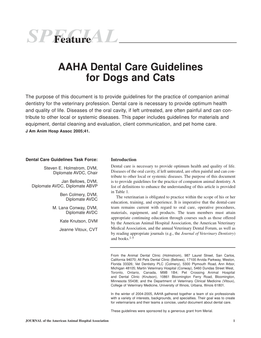 Canine Dental Chart Pdf