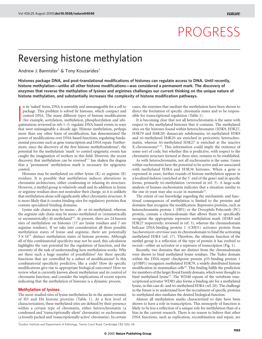 PDF) Reversing histone methylation