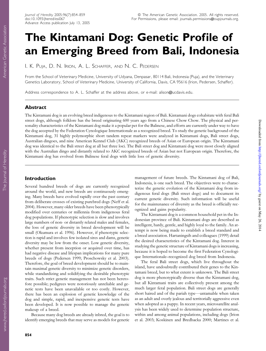 Pdf The Kintamani Dog Genetic Profile Of An Emerging Breed From Bali Indonesia