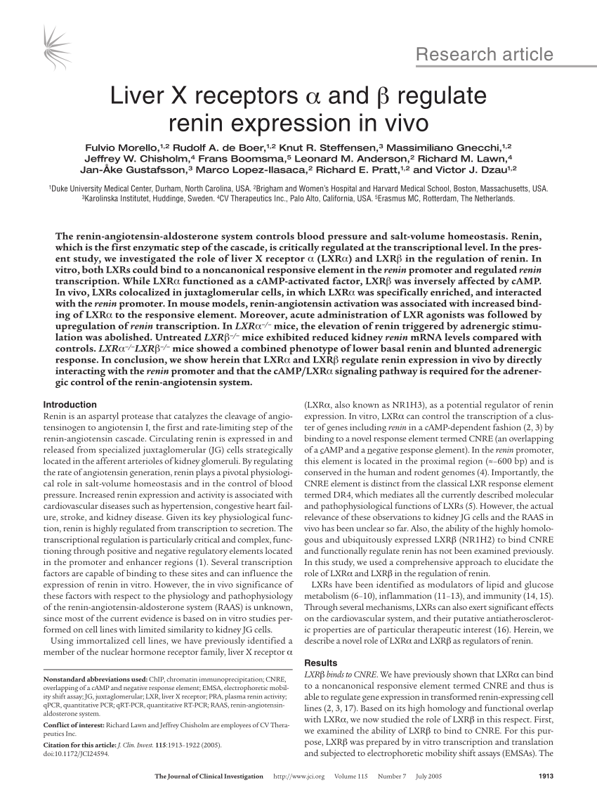 Pdf Liver X Receptors A And B Regulate Renin Expression In Vivo