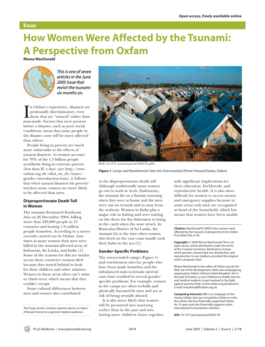 tsunami research paper example