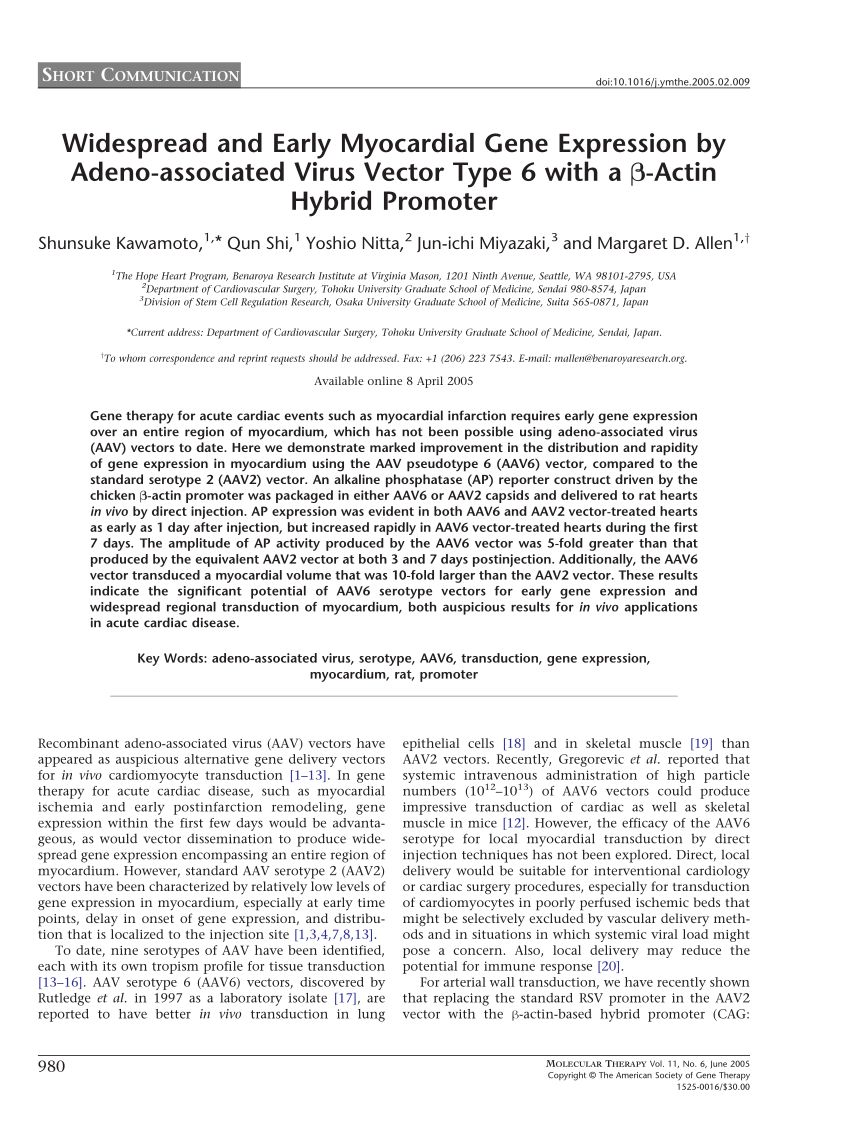 (PDF) Creating an arsenal of Adeno-associated virus (AAV 