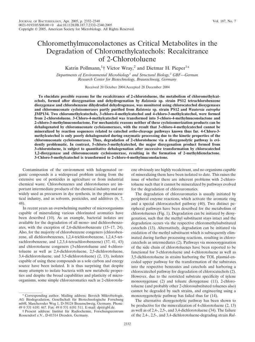 Pdf Chloromethylmuconolactones As Critical Metabolites In