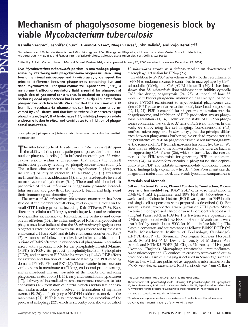 PDF) Mechanism of phagolysosome biogenesis block by viable