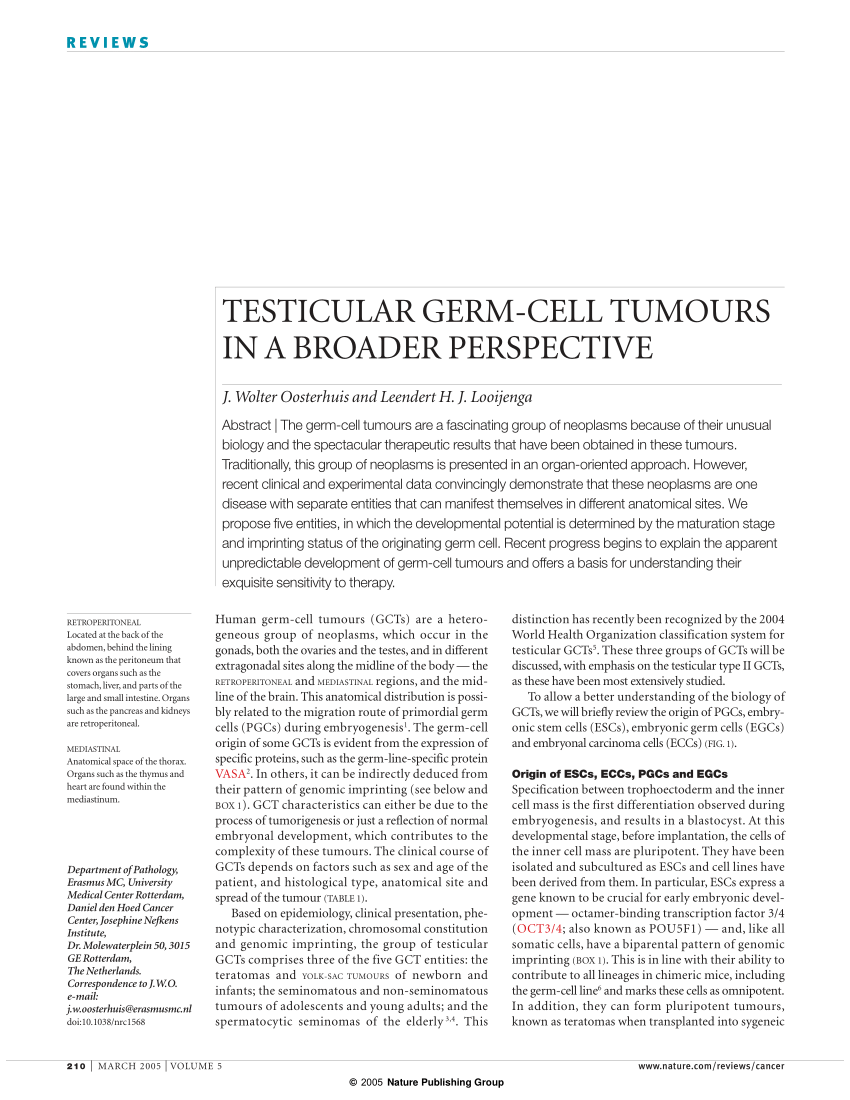 Pdf Testicular Germ Cell Tumors In A Broader Perspective 